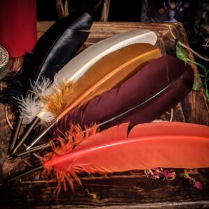 Our feather dip quill pens are beautiful, and supplied by a British calligraphy company. Comes in varied colours, and wonderful to use alongside magical inks! Great for pagans, witches and polytheists!