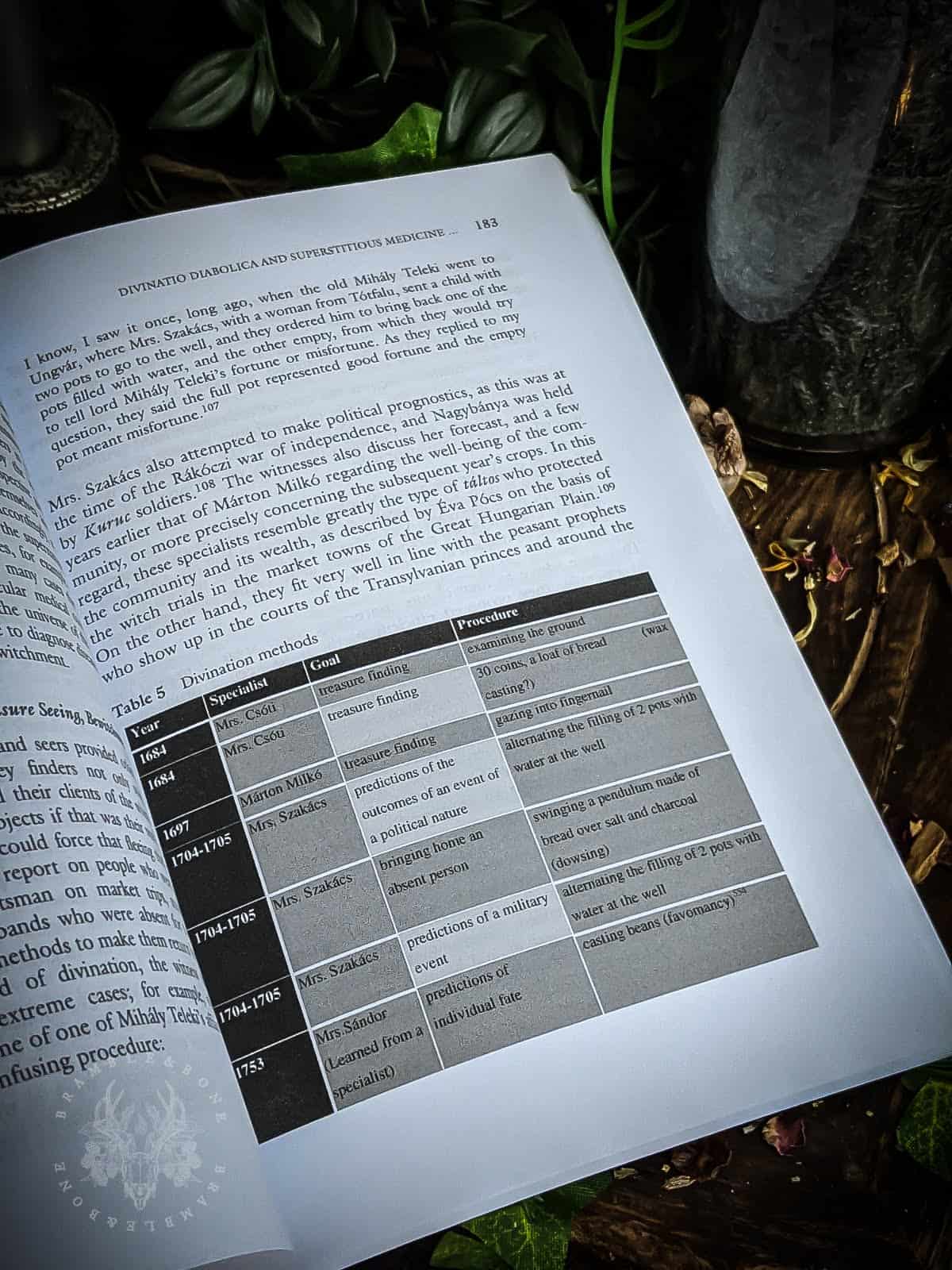 Witchcraft and Demonology in Hungary and Transylvania - Image 2