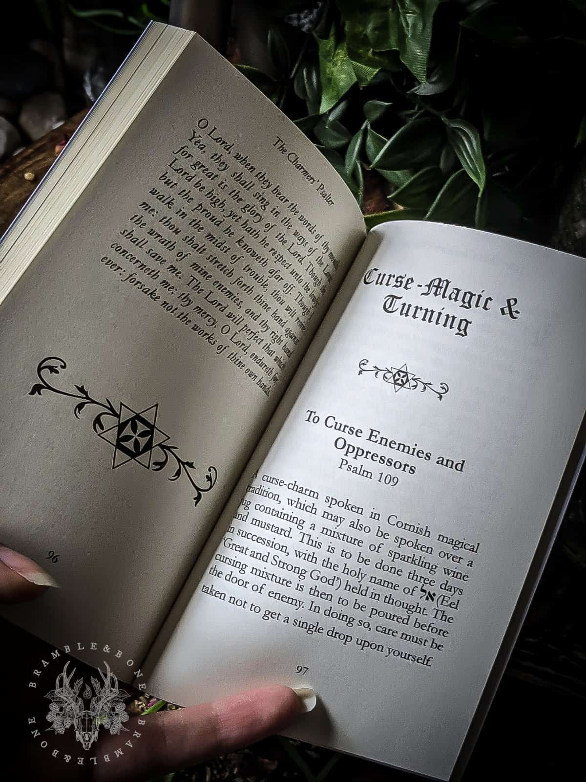 The Charmers Psalter - Image 3