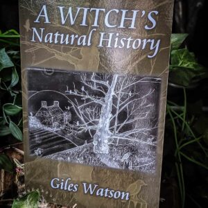 A Witch's Natural History is a compilation of previously published essays on the relationship between Witch, folklore and nature. This particular book focuses on the animals, eco systems and plants connected to the figure of the witch. Many books will mention the more culturally maligned creatures such as reptiles, amphibians, crows and rats, however, this book also explores the less well known creatures that share lore with the witch- the more commonly neglected birds, spiders, insects and snails. A Witch's Natural history focuses on some of the most famous- and most obscure tales of witchcrafts history with nature- from the toad-bone amulet in East Anglian witchcraft to the seductive Queen Rat of the Toshers in Bermondsey. This book is an excellent introduction to traditional witchcraft's collaboration and understanding of the natural world. A book not only for Craft practitioners, but also anybody who is interested in the natural world and the impact it has on folklore, beliefs and practices.