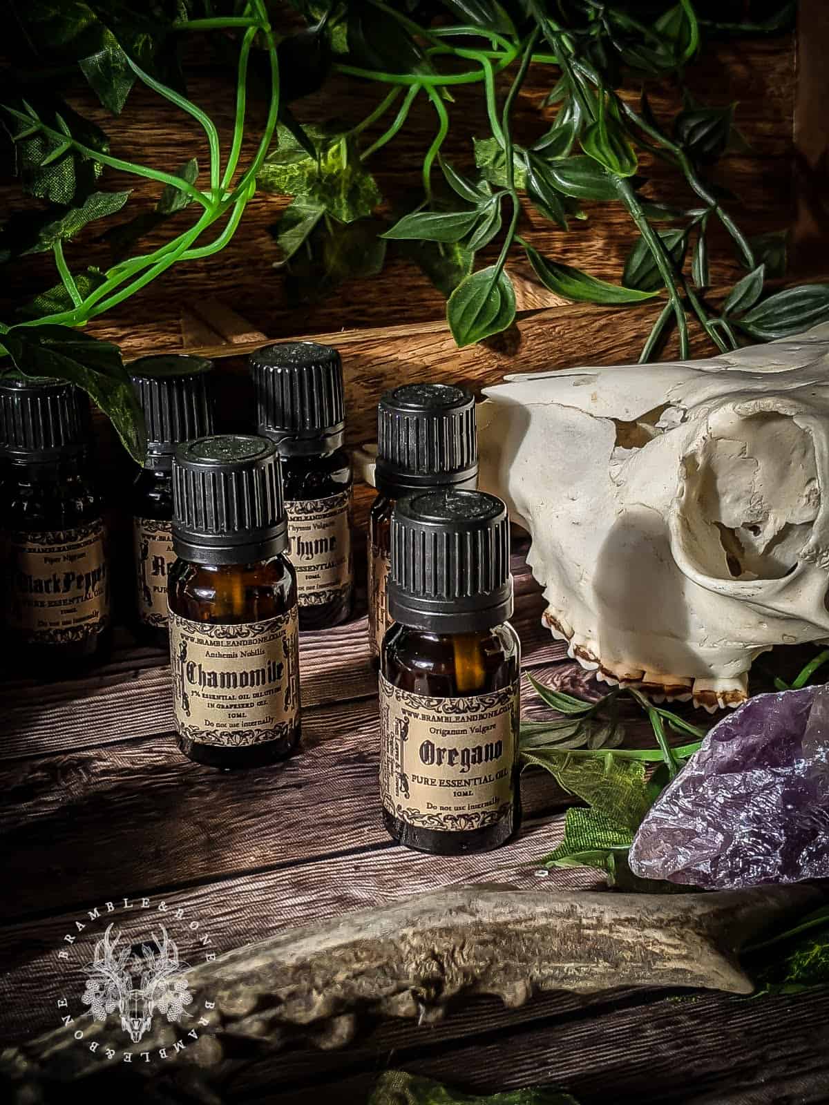Lemon Essential Oil 10ml - Image 8