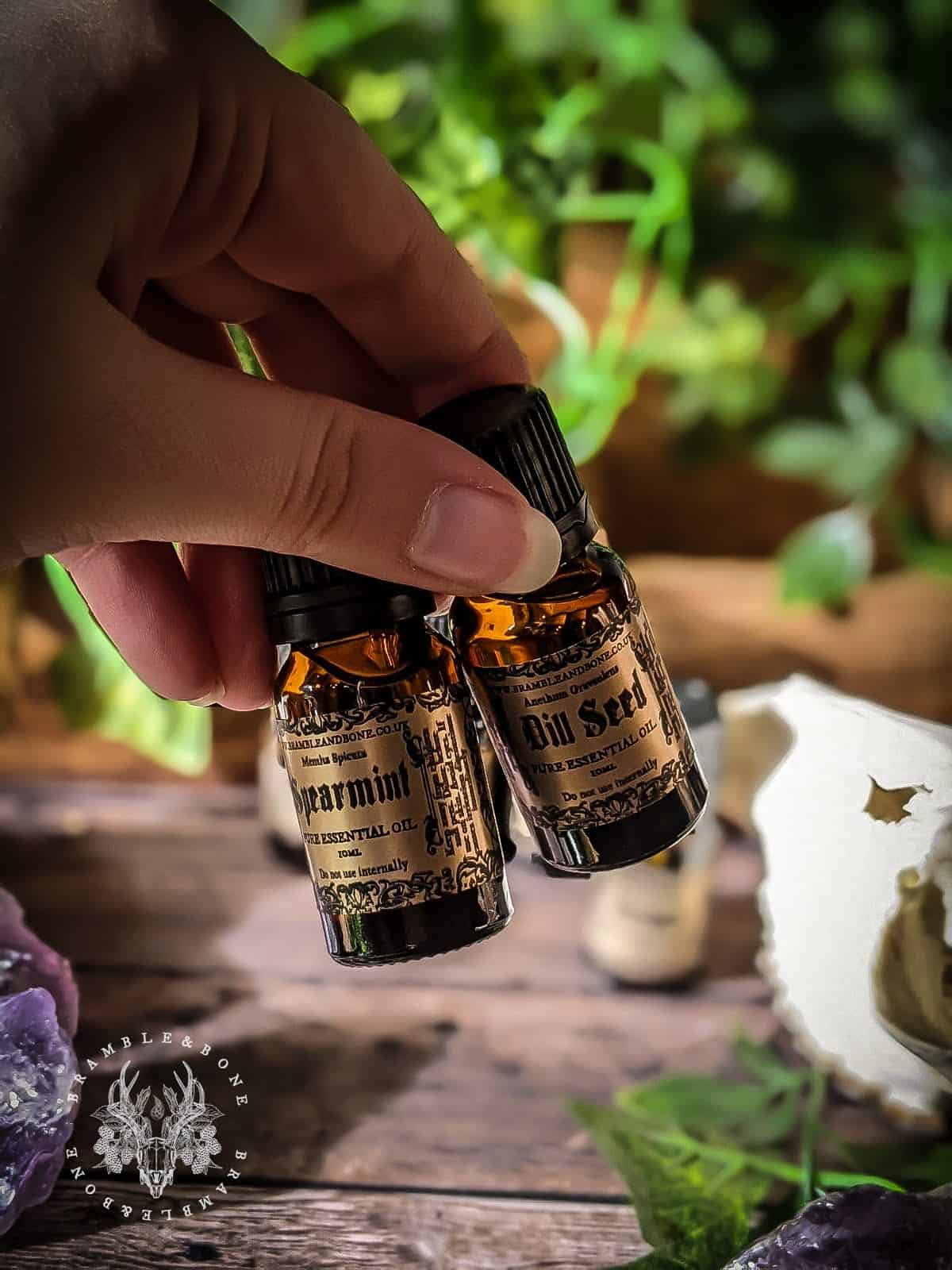 Lemon Essential Oil 10ml - Image 10