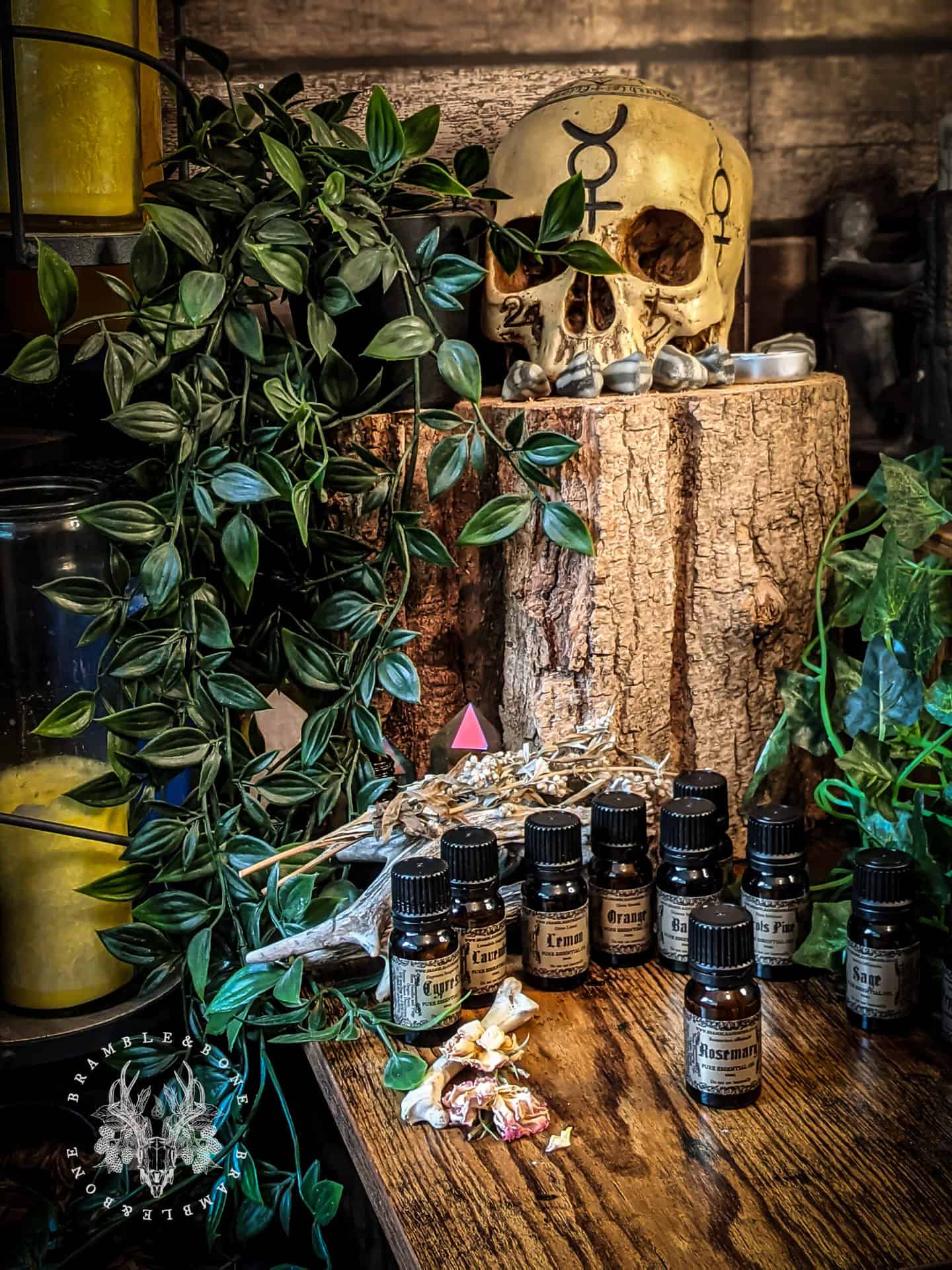 Lemon Essential Oil 10ml - Image 9