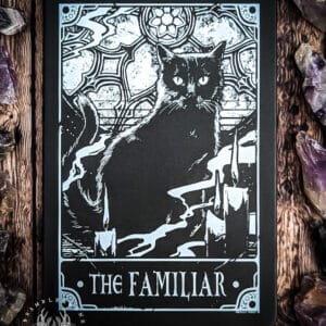 This fantastic notebook features a beautiful rendition of a tarot card styled art piece of a familiar. If you want to tailor your notebooks to the information you want to write within it, this notebook would be perfect for writings on familiar spirits, rituals and spellwork to do with them. A perfect addition for any spiritual home. The inside of the book is lined and has an elastic ribbon for keeping the notebook closed. Size: 14cm x 21cm. Approx 190 lined pages.