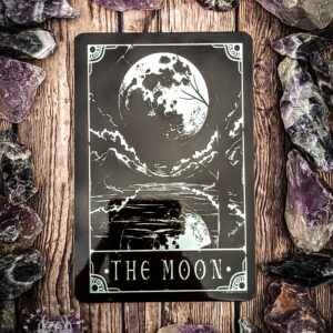The Moon Tarot Card- A6 Tin Sign
