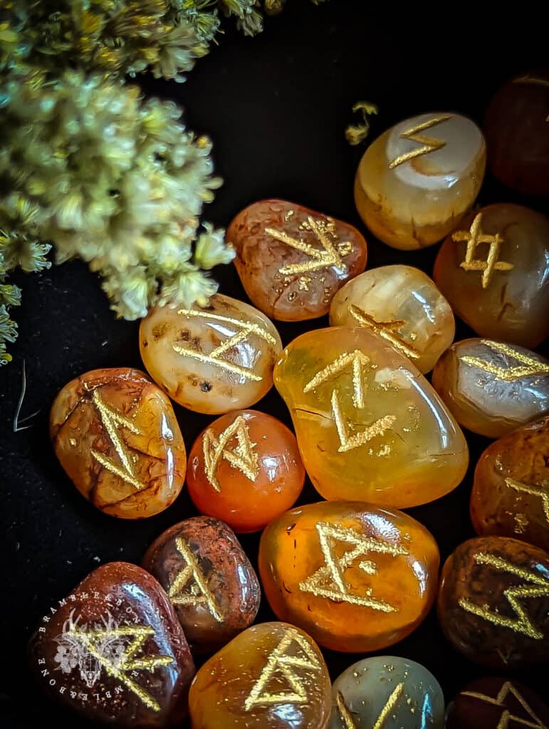 Runes- Carnelian - Bramble & Bone