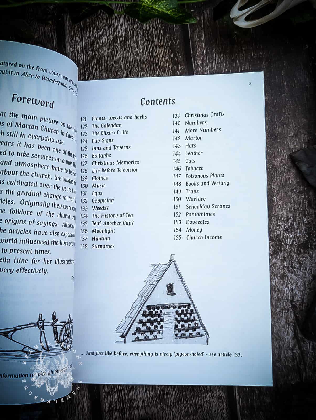 Countrywise #4 by Raymond Rush - Books Curated by Bramble & Bone