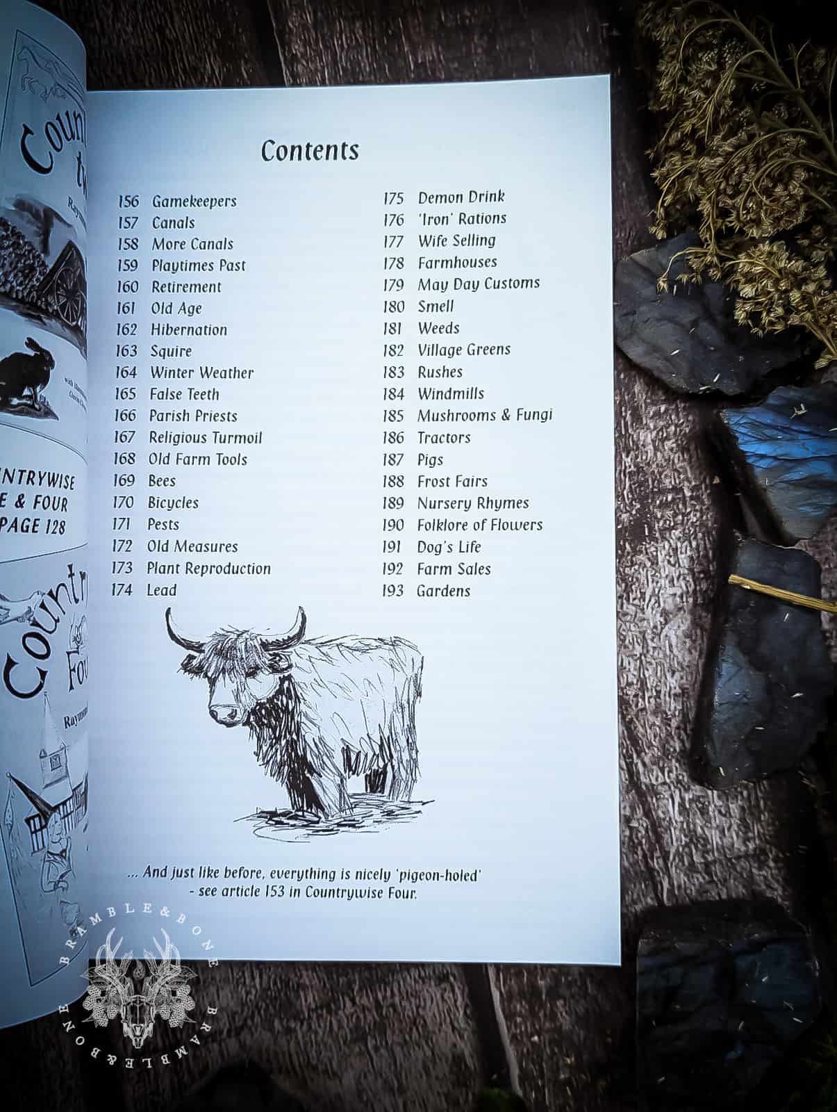 Countrywise #5 by Raymond Rush - Books Curated by Bramble & Bone