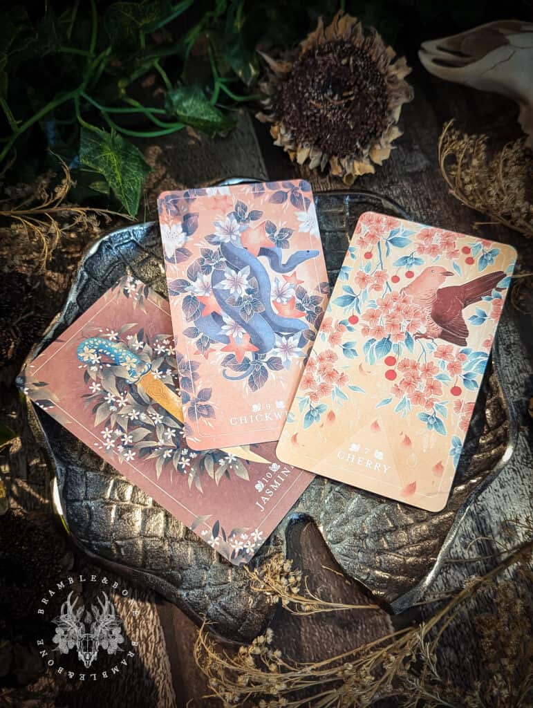 Oracle Card Spring Seeds Rabbit The Seed & Sickle Oracle Deck - Tarot decks Curated by Bramble & Bone