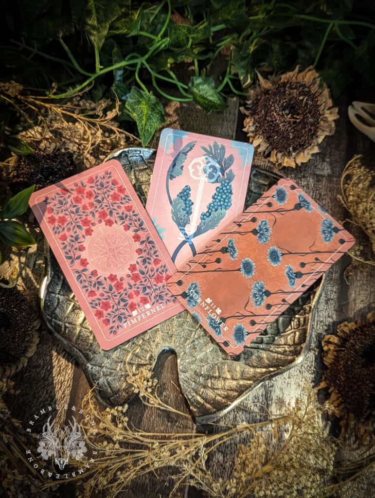 Oracle Card Spring Seeds Rabbit The Seed & Sickle Oracle Deck - Tarot decks Curated by Bramble & Bone