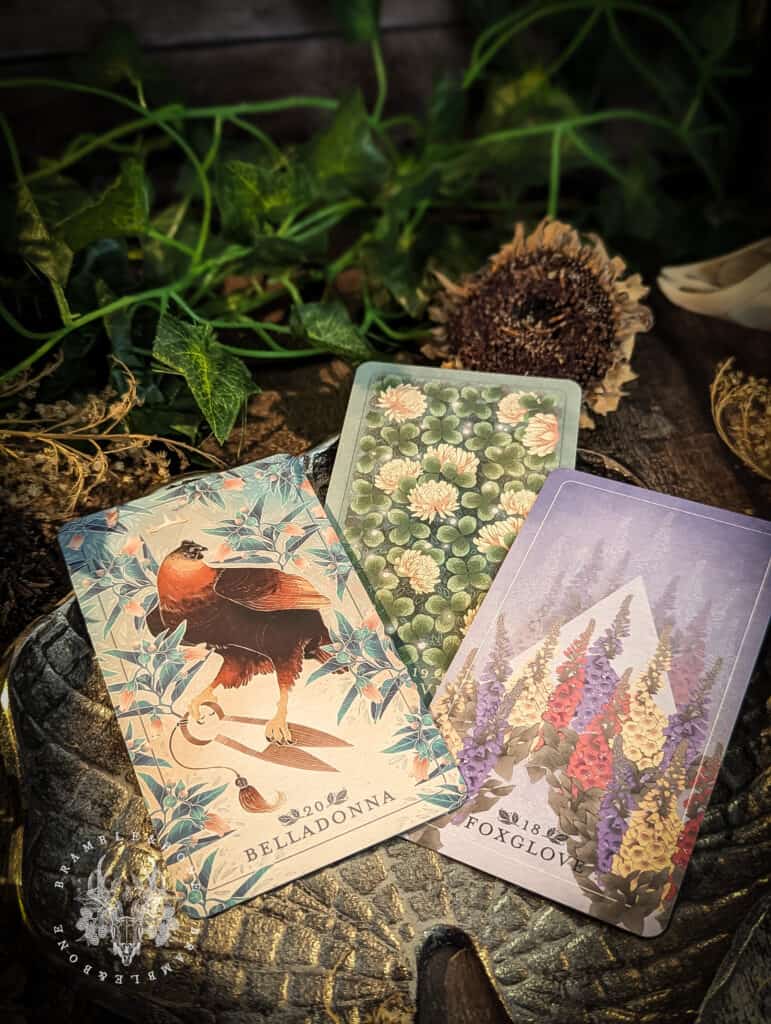 Oracle Card Spring Seeds Rabbit The Seed & Sickle Oracle Deck - Tarot decks Curated by Bramble & Bone