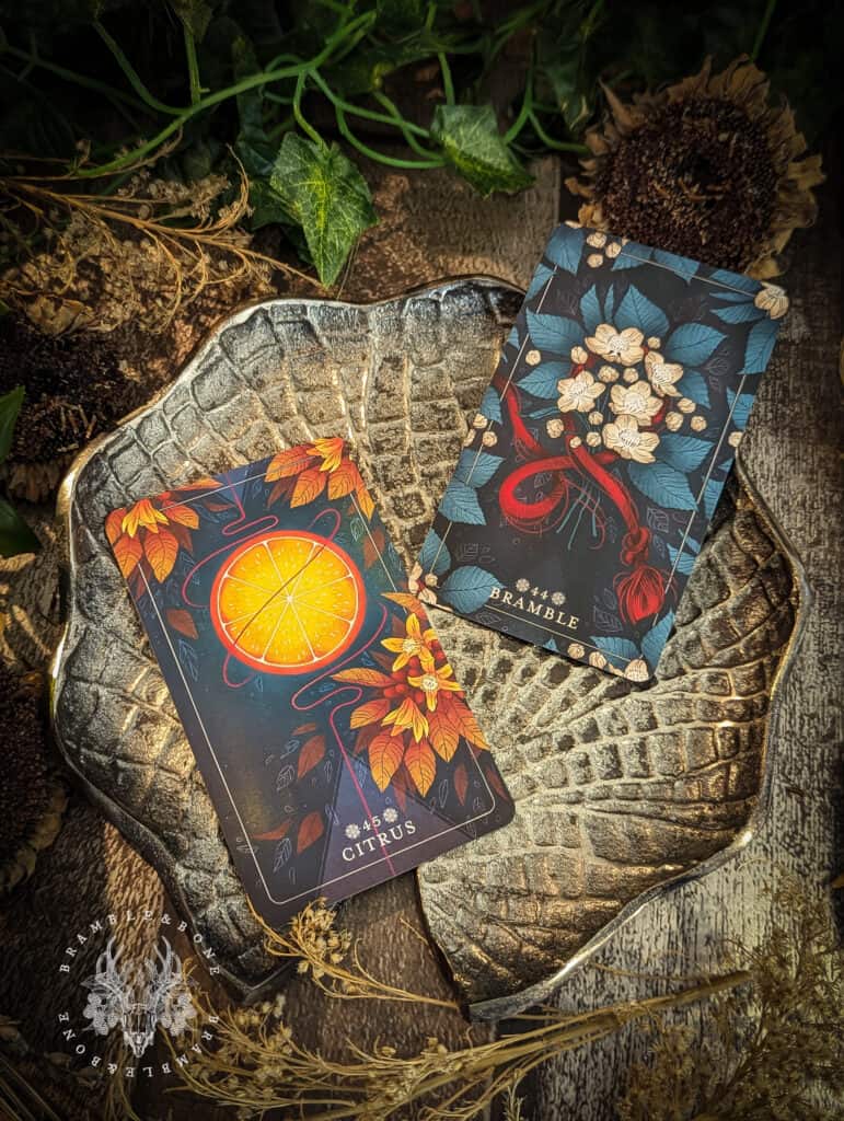 Oracle Card Spring Seeds Rabbit The Seed & Sickle Oracle Deck - Tarot decks Curated by Bramble & Bone