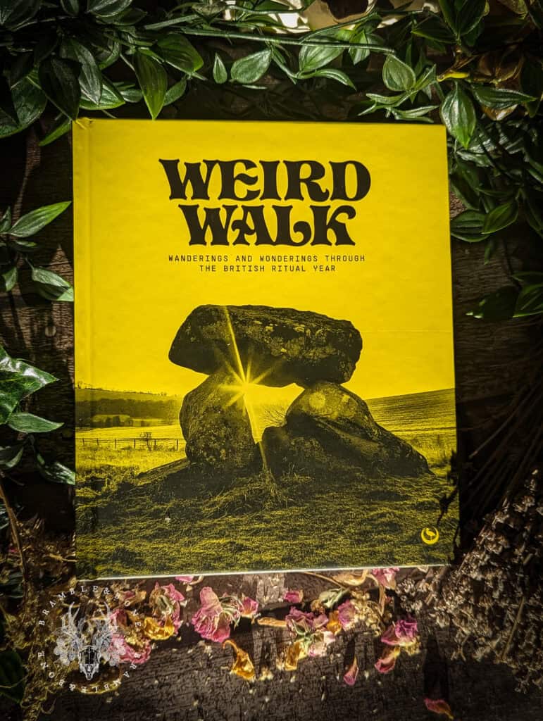 Strange Walk Weird Walk - Books curated by Bramble & Bone
