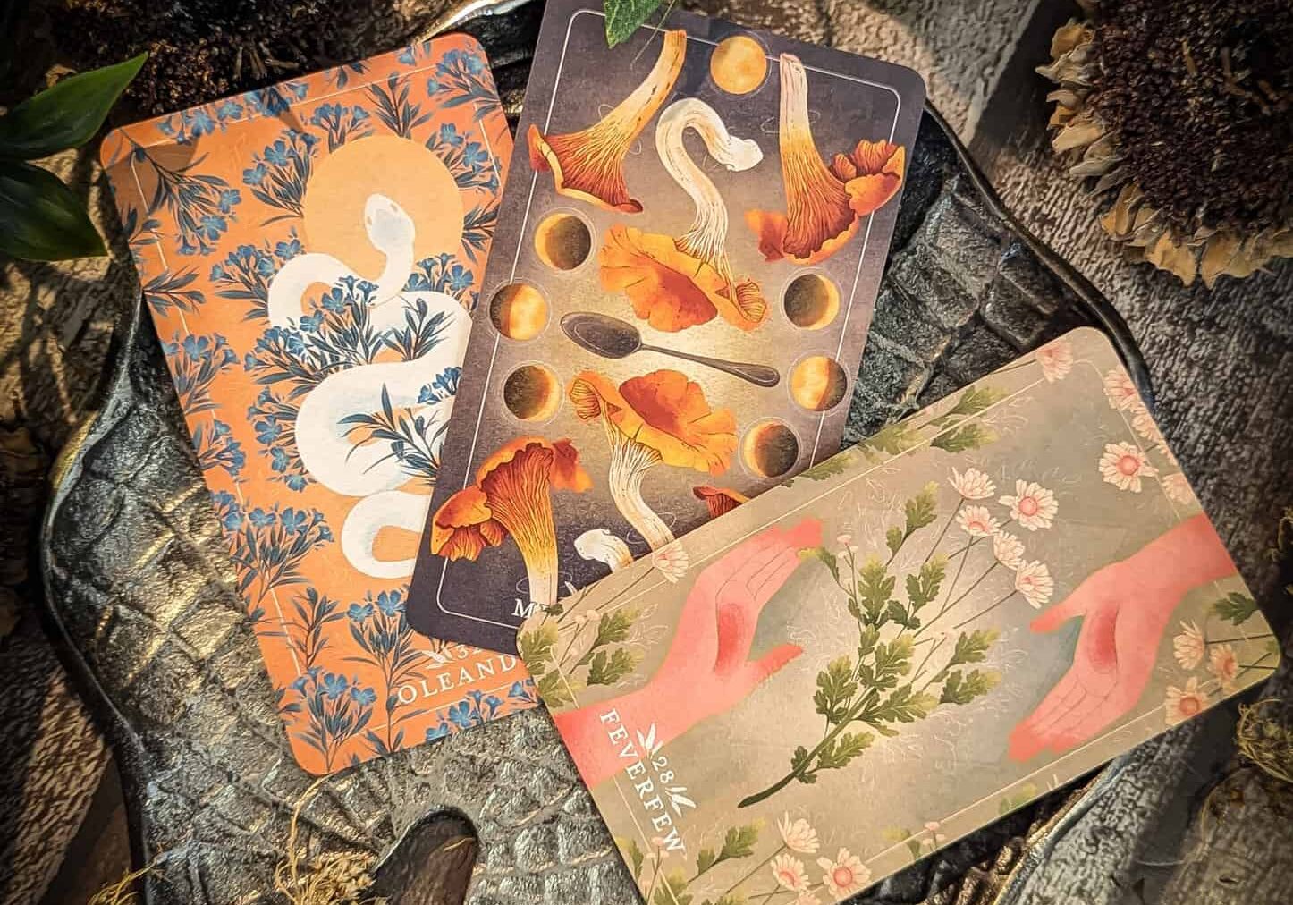 Oracle Decks - Bramble & Bone
